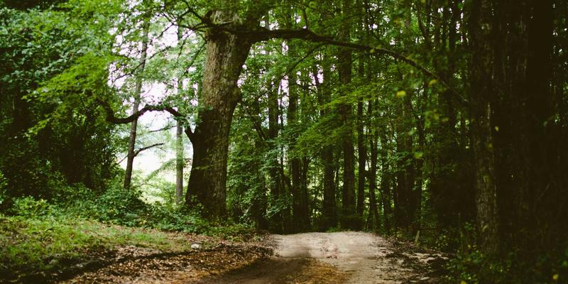 北京二手房装修全流程：从拆旧到入住的自然清新风格时间规划