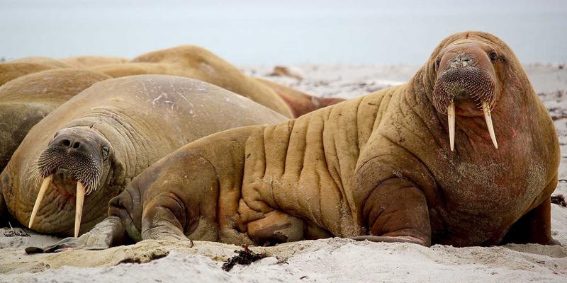 北京二手房装修拆除阶段注意事项及常见陷阱规避 | 金格装饰专业指南