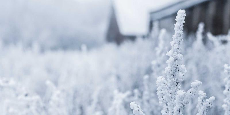 北京智能家居装修指南：金格装饰解析从布线到场景联动的全屋智能方案
