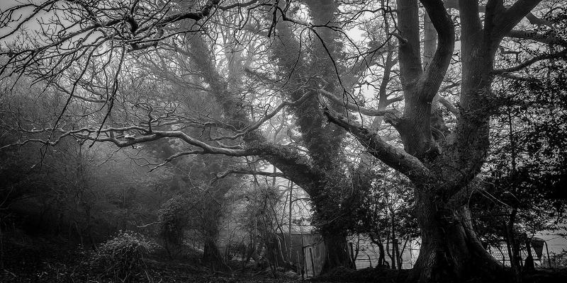 北京精装房软装改造攻略：用家具与布艺打造自然清新的个性化居所