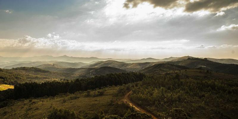 北京装修必读：全包与半包模式深度解析，打造自然清新风格家居的避坑指南
