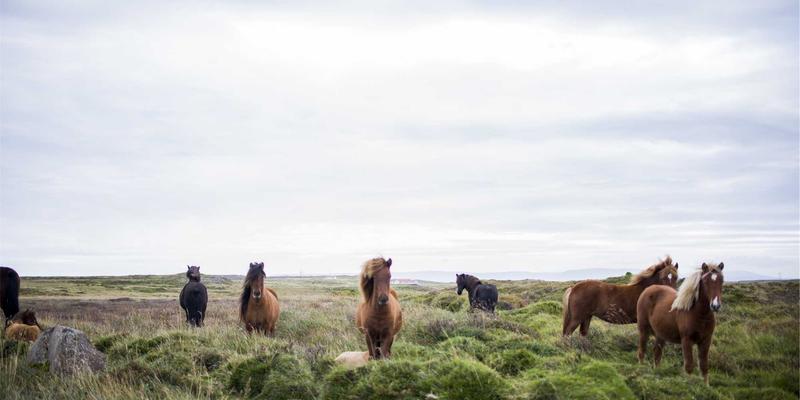 北京装修预算分配策略：金格装饰教你打造自然清新风，轻松避免超支