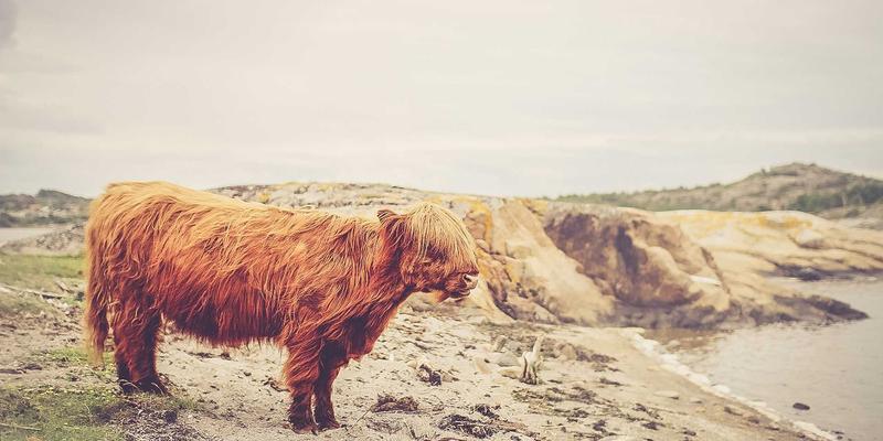 北京装饰30年风云录：从基础施工到金格装饰引领的室内设计美学革命