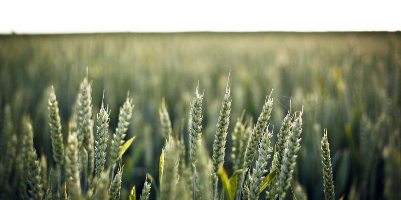 北京装饰42：专业室内设计与装修工程的全流程解析