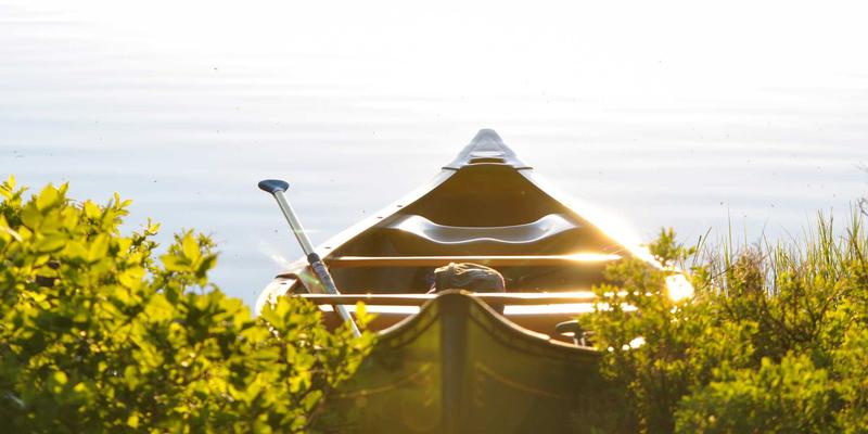 北京装饰50 | 金格装饰以自然清新风格重塑家居美学