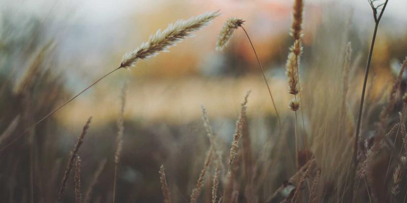 北京装饰72 | 自然清新风格如何重塑家居空间？金格装饰设计解析