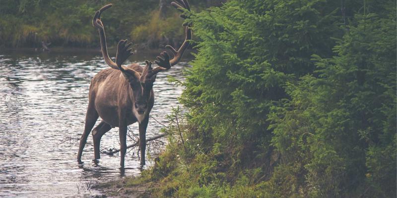金格装饰：北京别墅庭院景观与室内装修风格一体化设计全解析